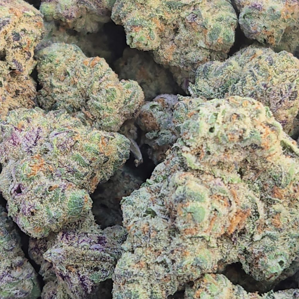 Snowbird Cannabis Englewood