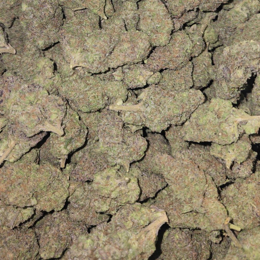 Snowbird Cannabis Englewood