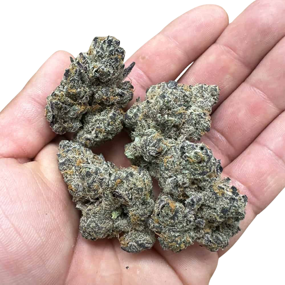Snowbird Cannabis Englewood