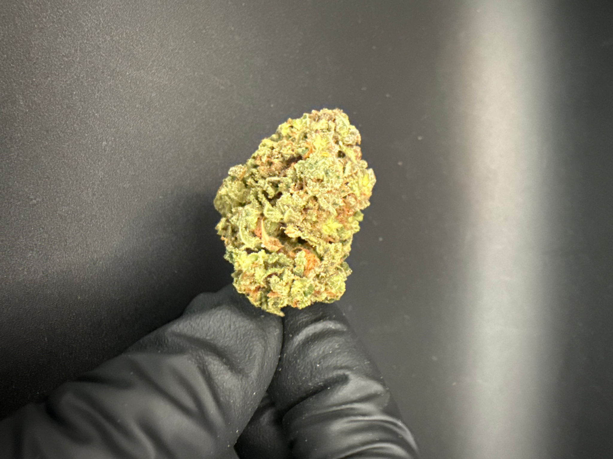 Full Zest THCA hemp flower bud
