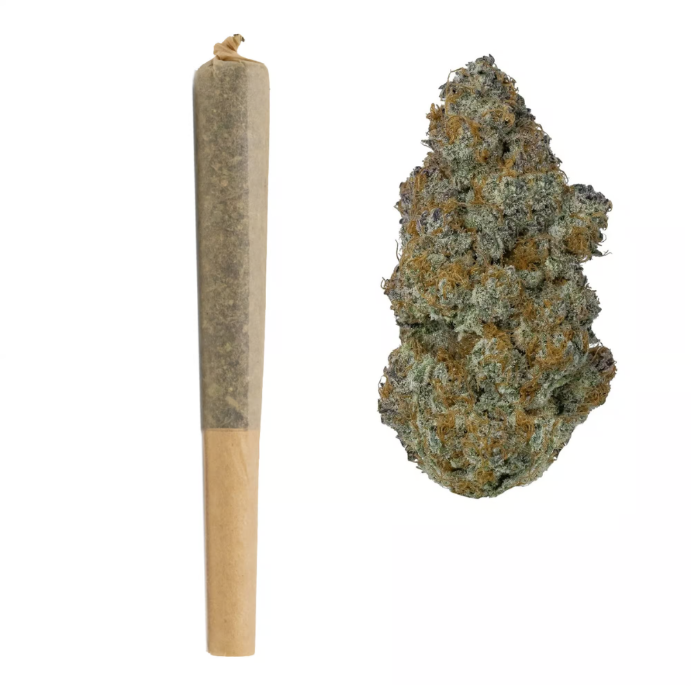 Snowbird Cannabis Englewood