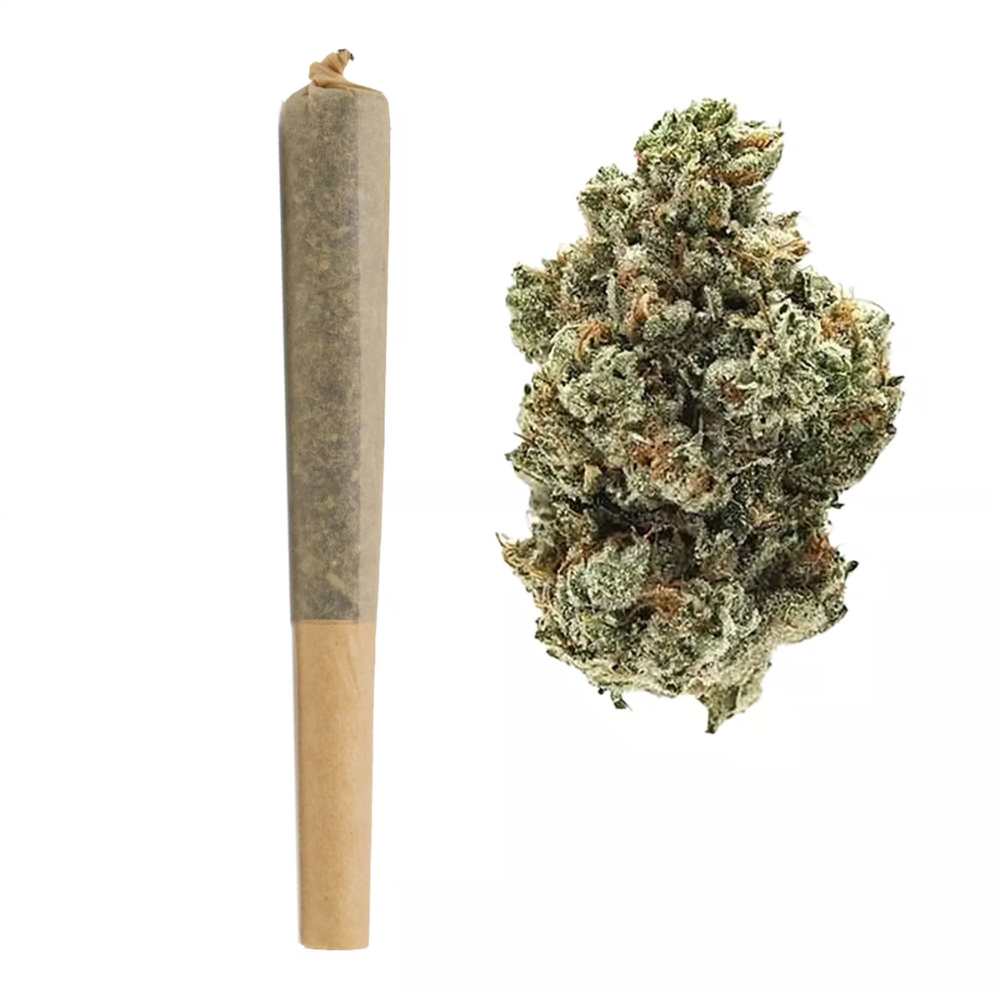 Snowbird Cannabis Englewood