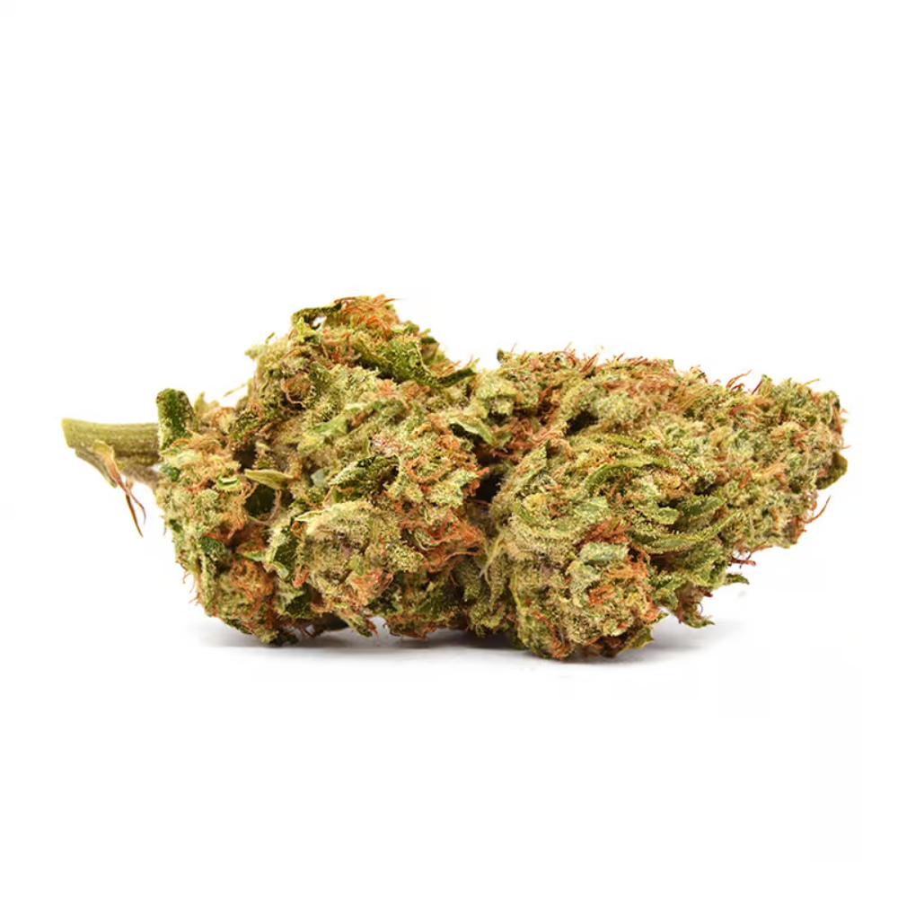 Snowbird Cannabis Englewood
