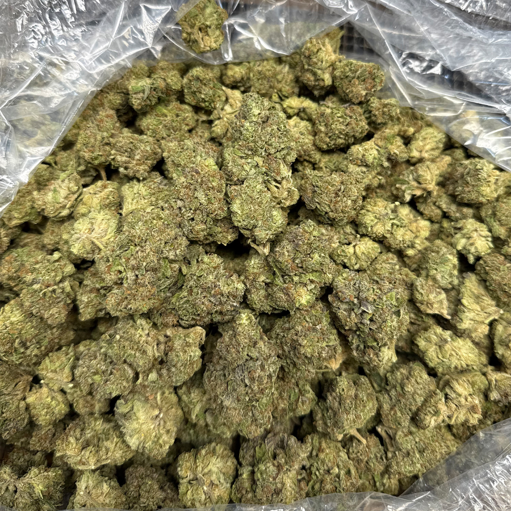 Snowbird Cannabis Englewood