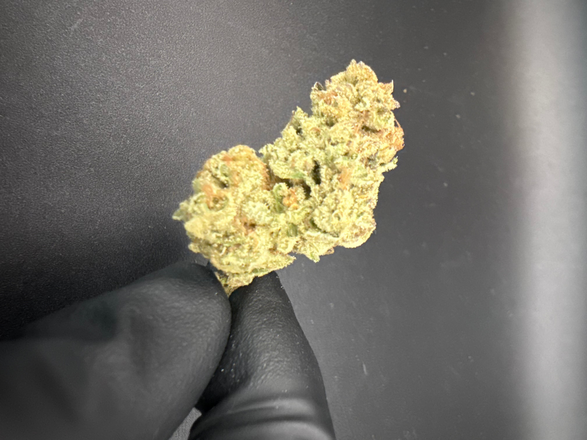 Punch Breath THCA hemp flower bud