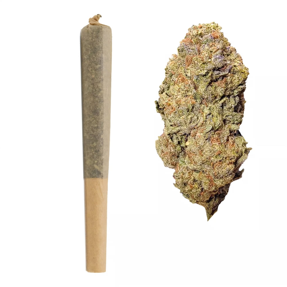 Snowbird Cannabis Englewood