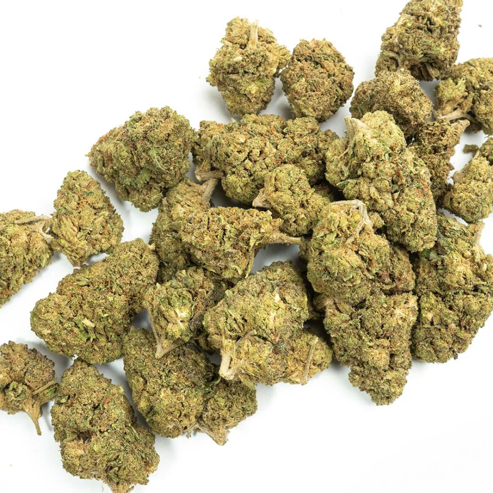 Snowbird Cannabis Englewood