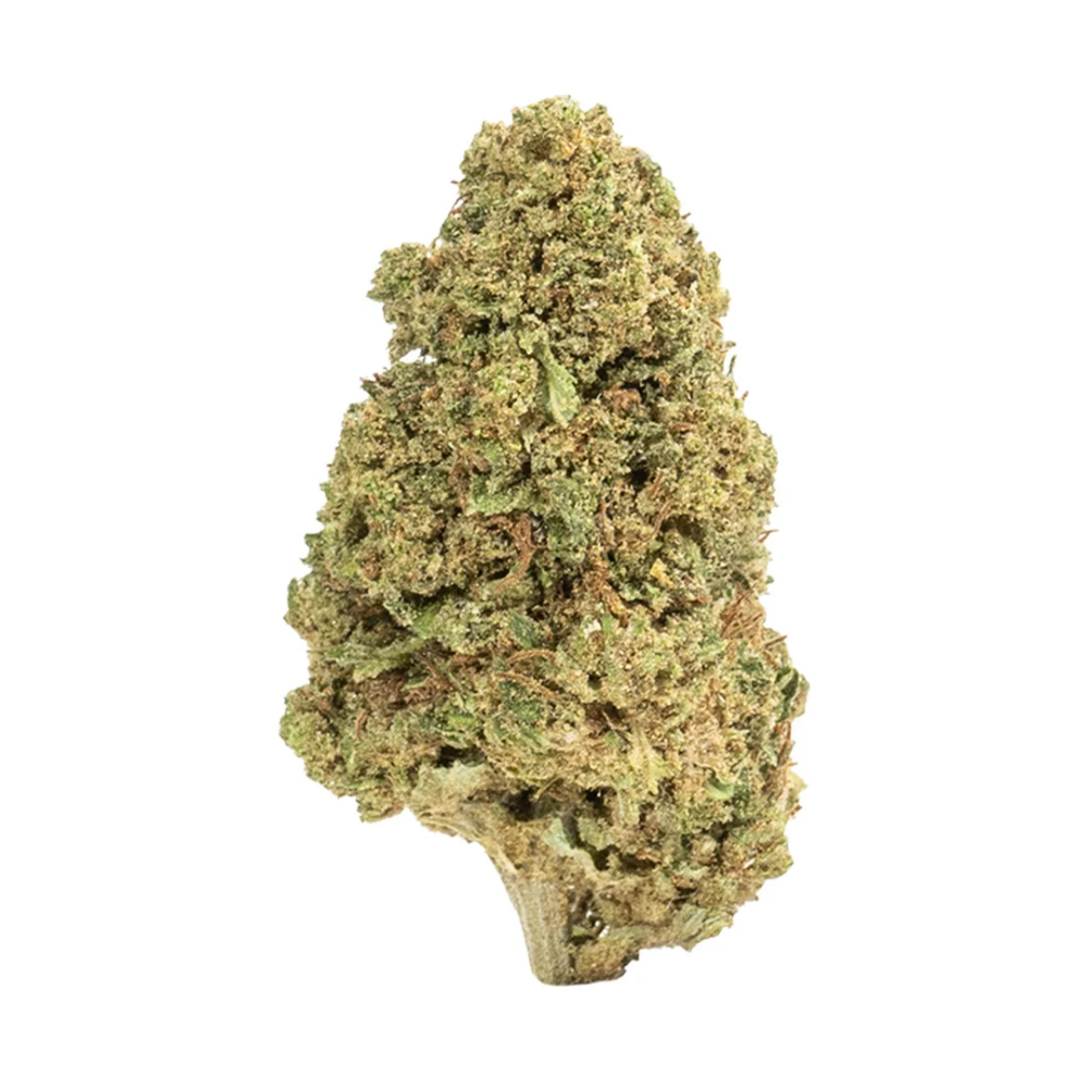 Snowbird Cannabis Englewood