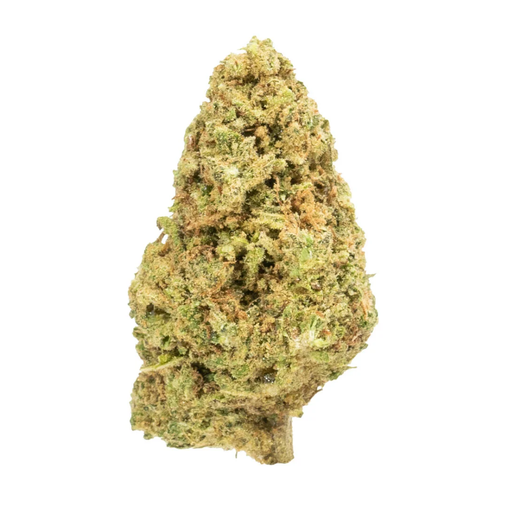 Snowbird Cannabis Englewood
