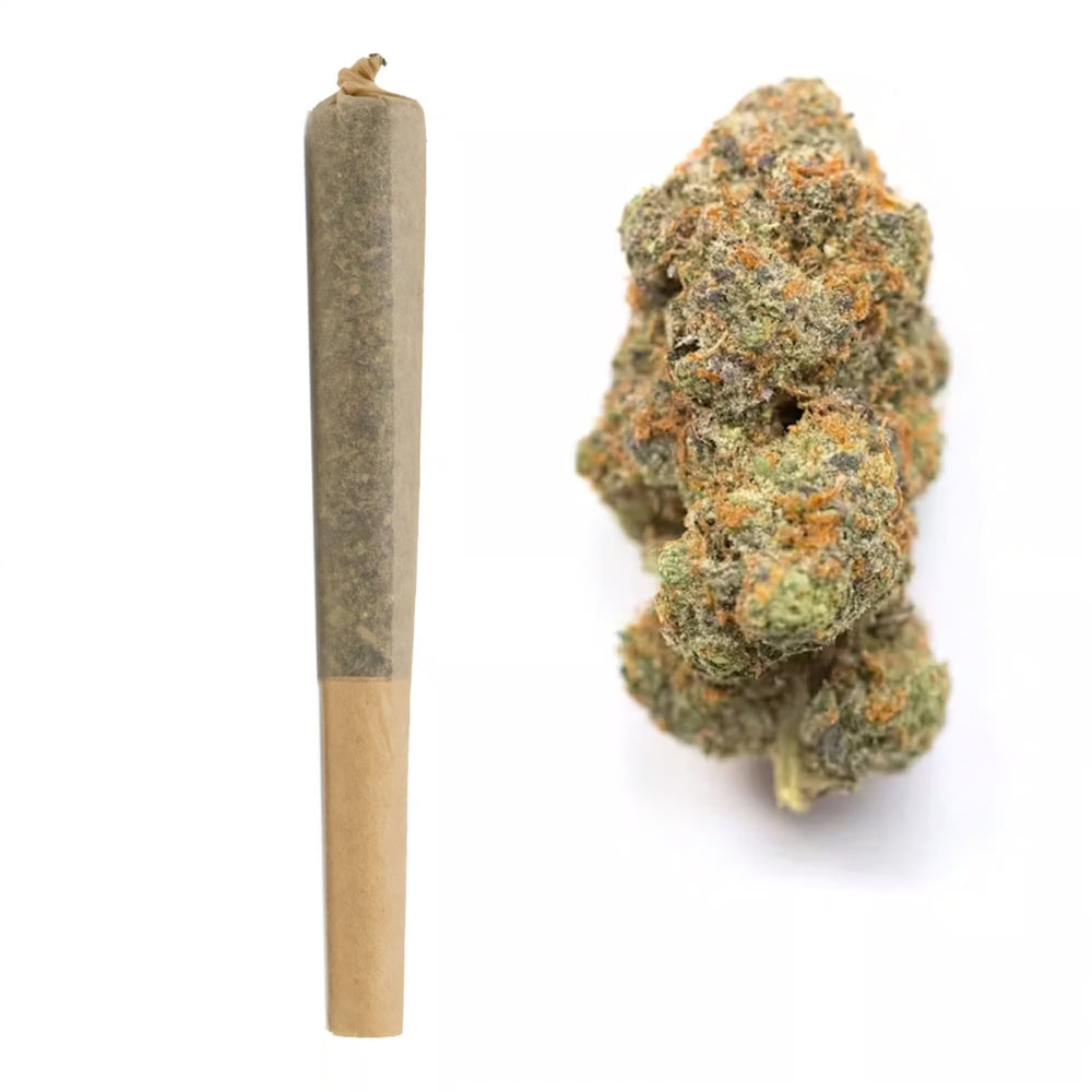 Snowbird Cannabis Englewood