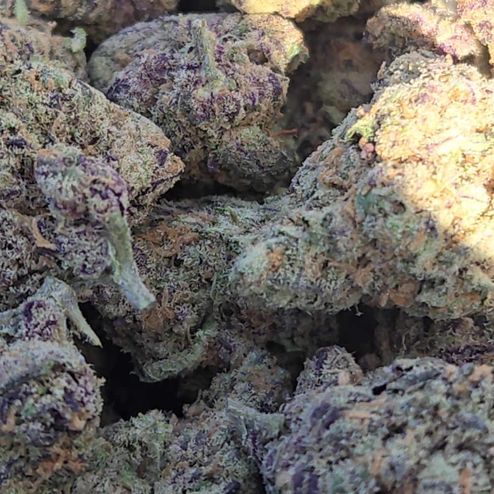 Snowbird Cannabis Englewood