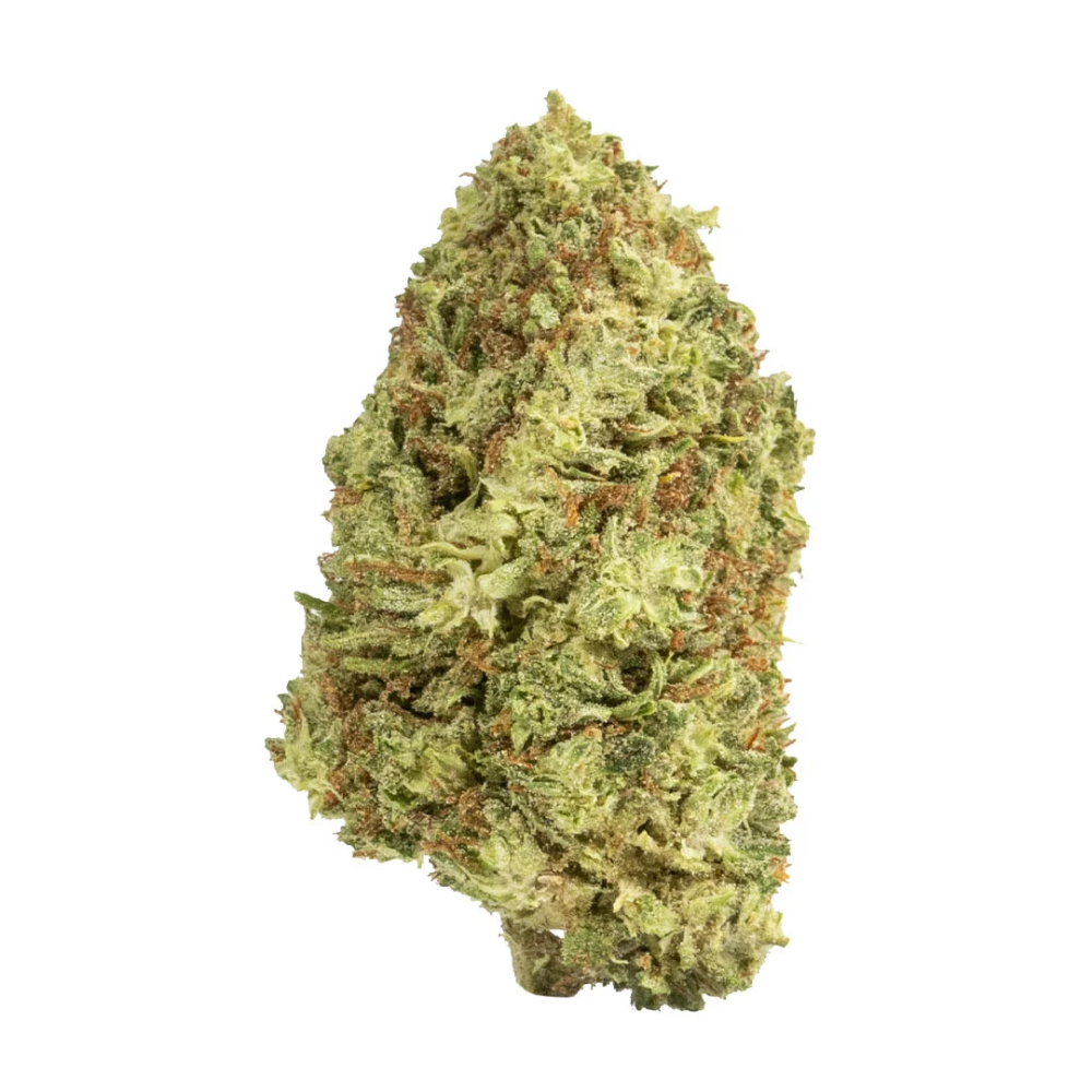 Snowbird Cannabis Englewood