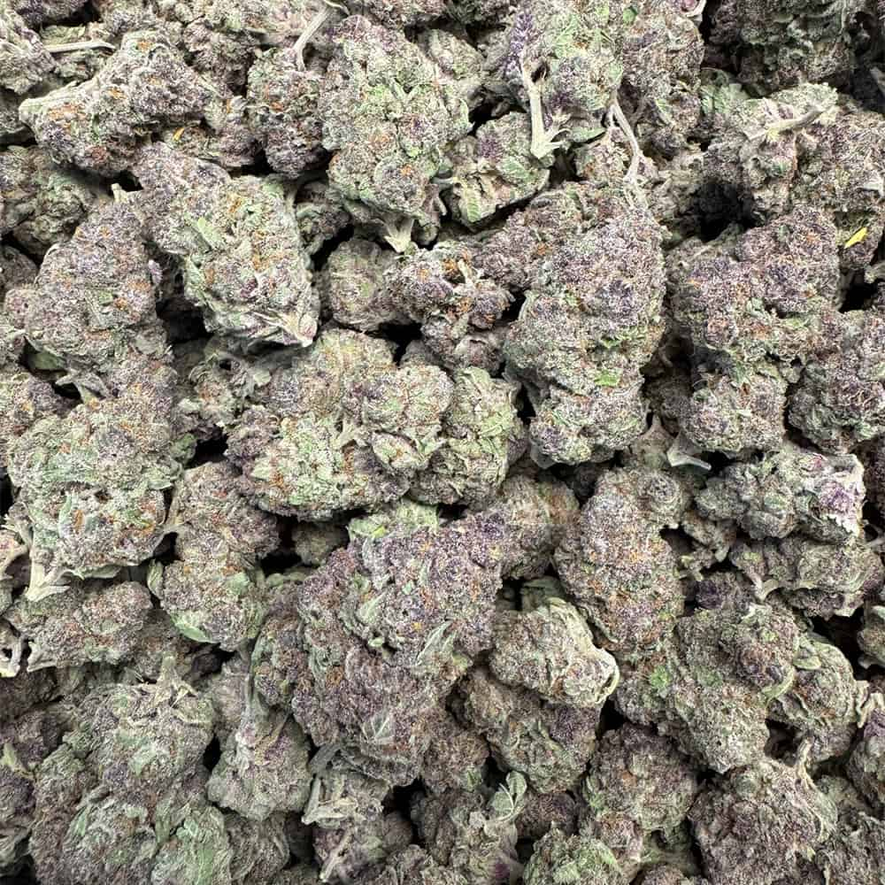 Snowbird Cannabis Englewood