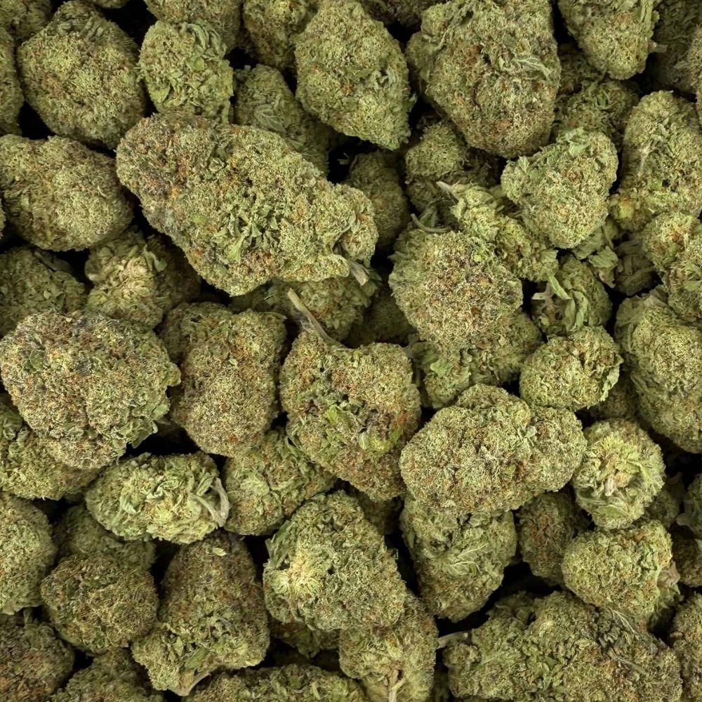 Snowbird Cannabis Englewood